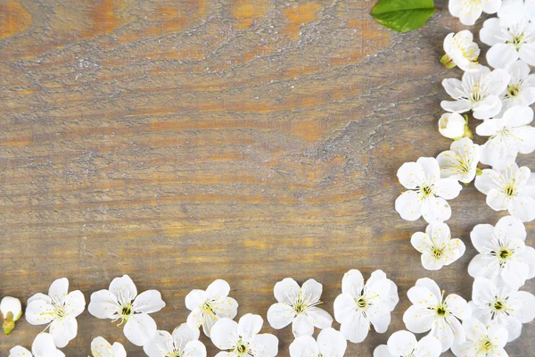 Bela flor de cereja no fundo de madeira — Fotografia de Stock