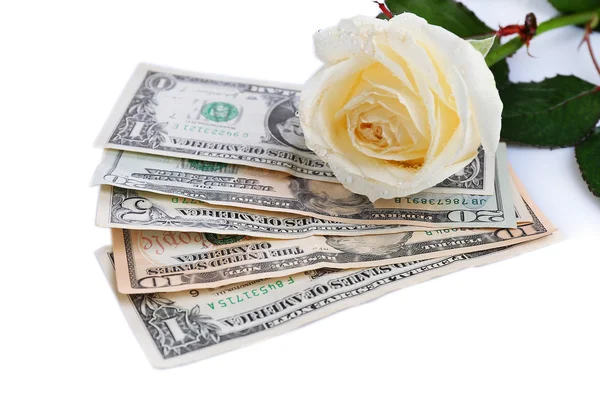 Beautiful rose and money, isolated on white — Stock Photo, Image