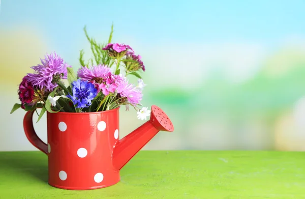 Bright wildflowers in decorative watering can, on wooden table, on bright background — Stock Photo, Image