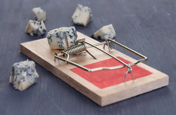 Trappola per topi con formaggio su sfondo di legno — Foto Stock
