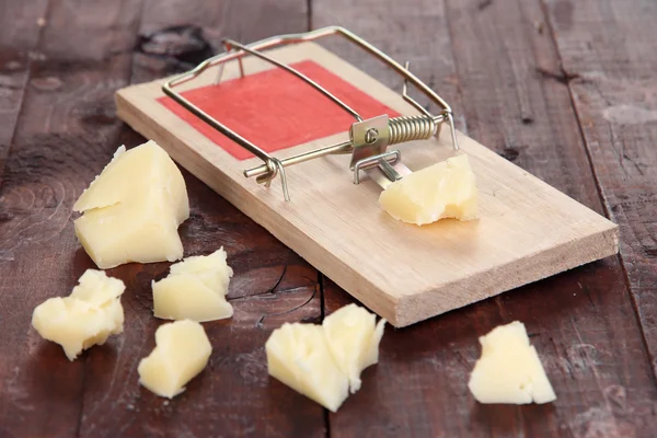 Mousetrap with cheese on wooden background — Stock Photo, Image