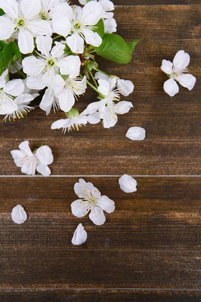 Hermosa flor de fruta sobre fondo de madera —  Fotos de Stock