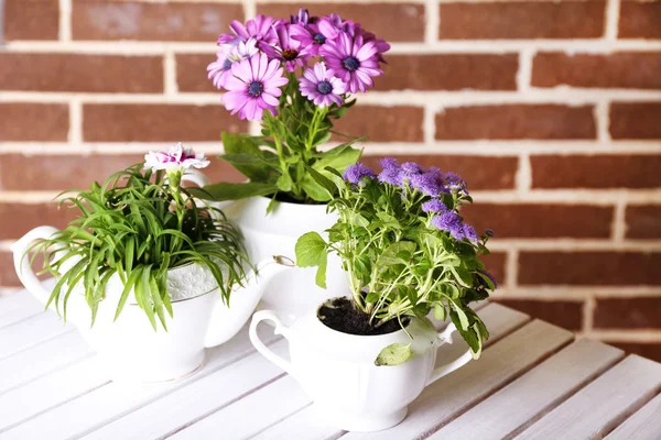 Blommor i dekorativa krukor på bord, på tegelstenar bakgrund — Stockfoto