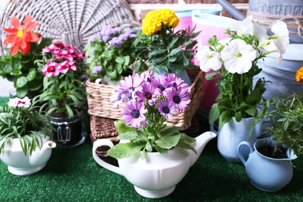 Flores em vasos decorativos e ferramentas de jardim no fundo de grama verde — Fotografia de Stock