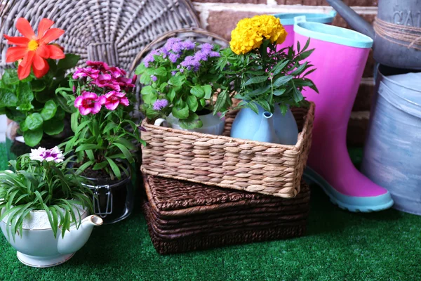 Květiny v dekorativní květináče a zahradní nářadí na zelené trávě, na pozadí cihly — Stock fotografie