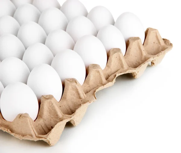 Яйца в подносе изолированы на белом — стоковое фото