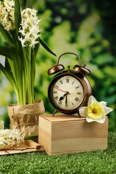 緑の草の目覚まし時計 — ストック写真