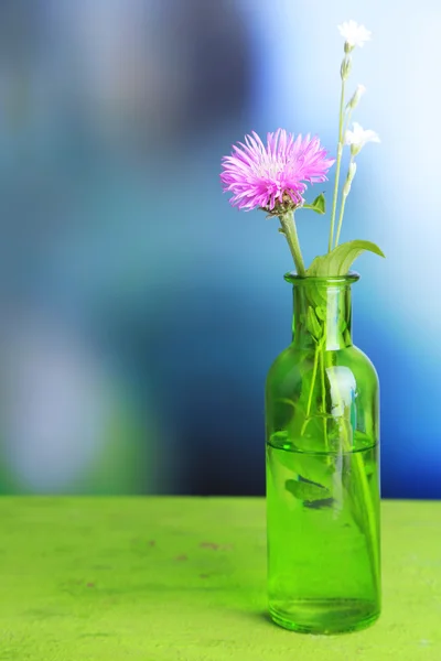 Bright wildflower in bottle on wooden table, on light background — Stock Photo, Image