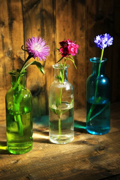 Flores silvestres brillantes en botellas sobre fondo de madera — Foto de Stock