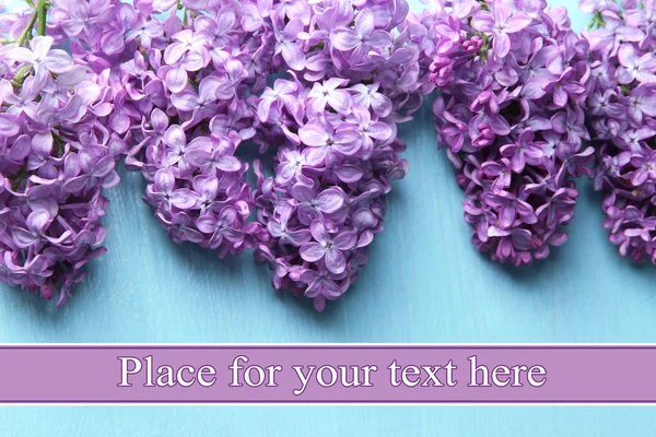Beautiful lilac flowers  on color wooden background — Stock Photo, Image