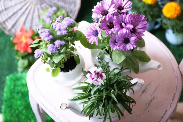 Blommor i dekorativa krukor på stol, närbild — Stockfoto