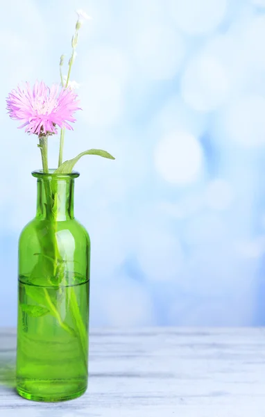 Jasnych kwiatów w butelce na drewnianym stole, na jasnym tle — Zdjęcie stockowe