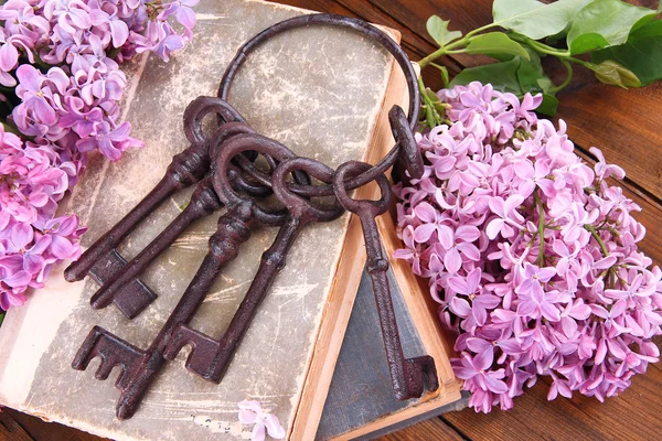 Piękną kompozycję z starych kluczy i starych książek na drewniane tła — Zdjęcie stockowe
