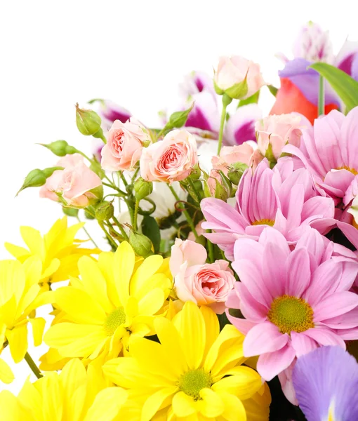 Hermosas flores aisladas en blanco —  Fotos de Stock