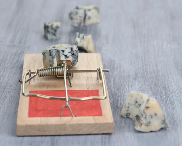 Trappola per topi con formaggio su sfondo di legno — Foto Stock