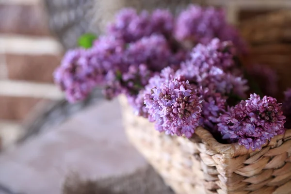 Mooie lila bloemen in rieten mand op kleur muur achtergrond — Stockfoto