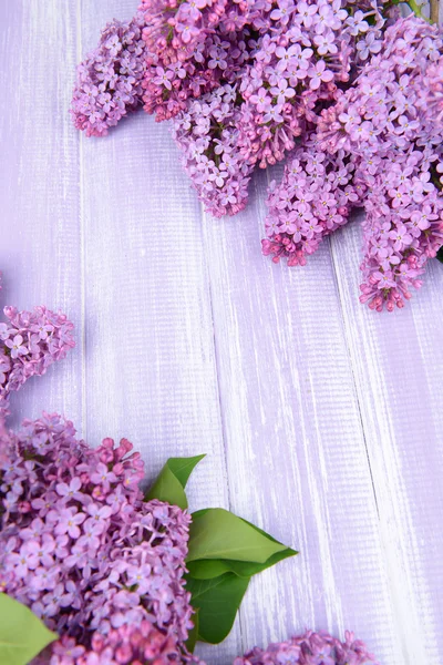 Belas flores lilás no fundo de madeira — Fotografia de Stock