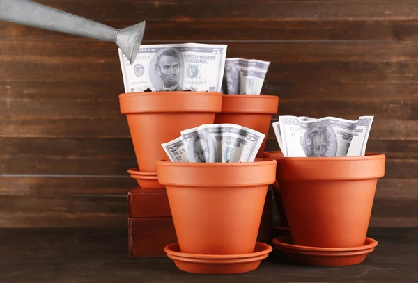 Business concept: growing money in the flowerpots on table — Stock Photo, Image