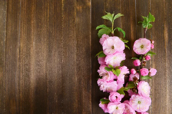 Bellissimo fiore di frutta su sfondo di legno — Foto Stock