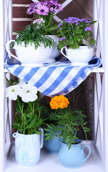 Blommor i dekorativa krukor på trähyllor, på tegelstenar bakgrund — Stockfoto