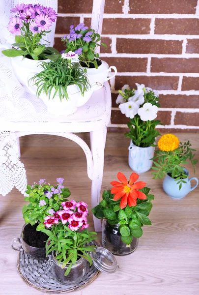 Flowers in  decorative pots on chair, on bricks background — Stock Photo, Image