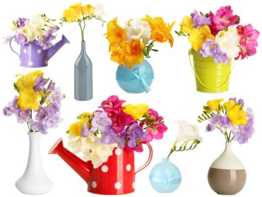 güzel Frezya aranjman beyaz izole kolaj