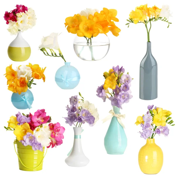 Collage schöner Freesien in Vase isoliert auf Weiß — Stockfoto