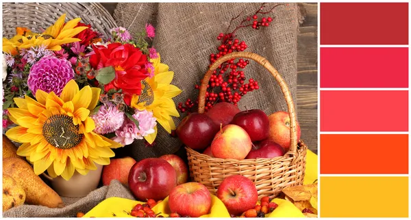 Осіннє натюрморт з яблуками. Кольорова палітра з безкоштовними годинниками — стокове фото