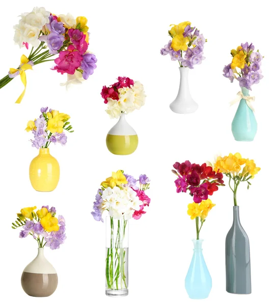 Collage of beautiful freesias in vase isolated on white — Stock Photo, Image