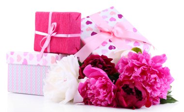 güzel peonies ve hediye kutuları, beyaz izole
