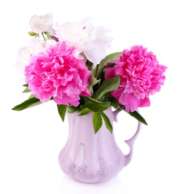 Beautiful pink and white peonies in vase, isolated on white clipart