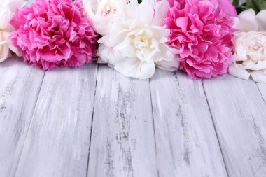 Beautiful pink and white peonies on color wooden background clipart