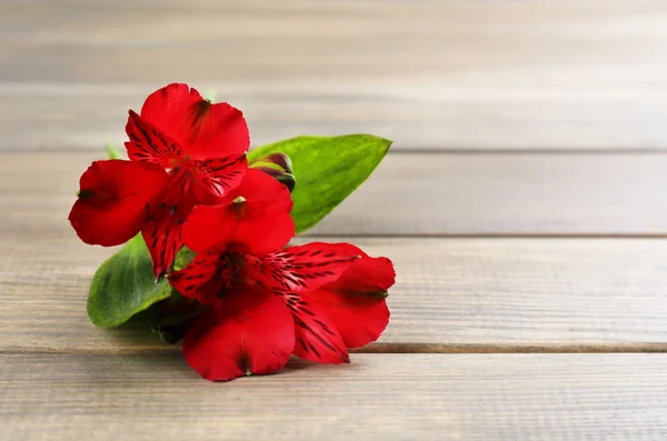 Mooie alstroemeria bloemen op houten tafel — Stockfoto