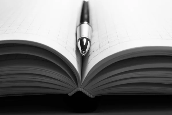 Ручка на открытой книге, закрыть — стоковое фото