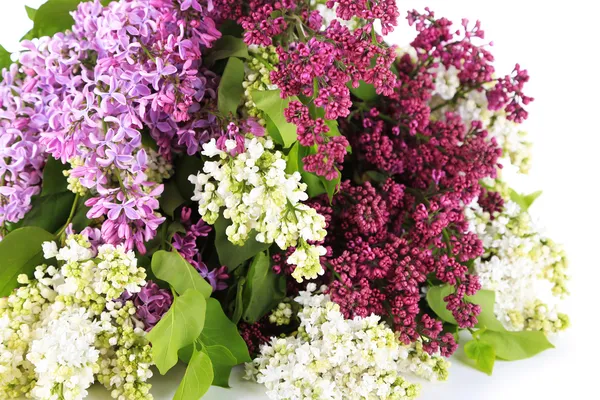 Hermosas flores lila, aisladas en blanco —  Fotos de Stock