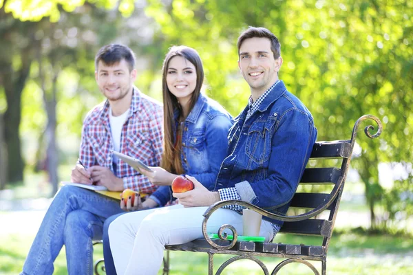 Felices estudiantes sentados en el parque — Stockfoto