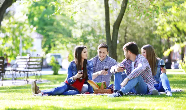 Happy vrienden op picknick in het park — Stockfoto