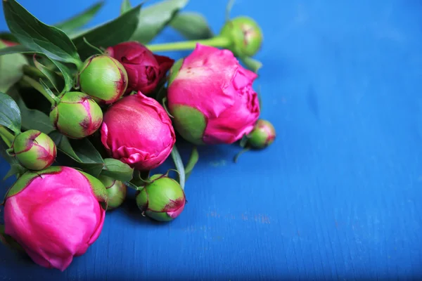 Hermosas peonías sobre fondo de madera de color — Foto de Stock