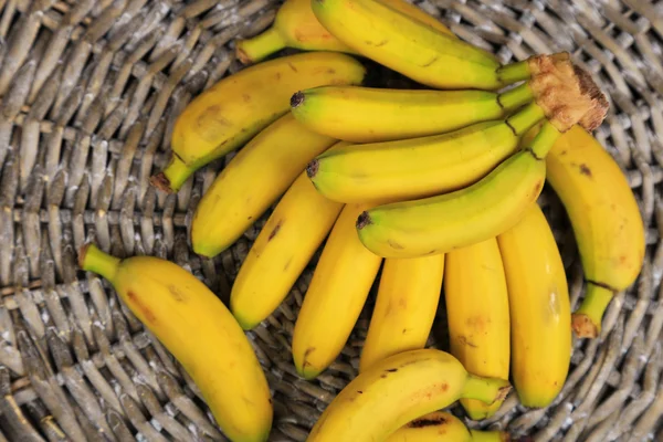 Bando de mini bananas no fundo esteira de vime — Fotografia de Stock