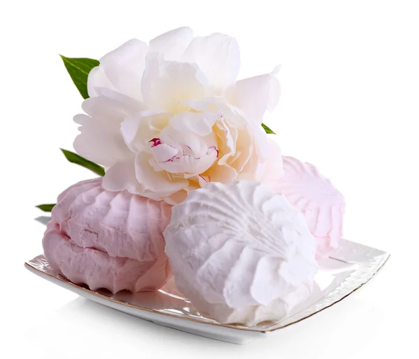 Beautiful peony flower and marshmallow dessert, isolated on white — Stock Photo, Image