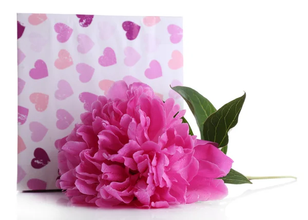 Linda flor de peônia e caixa de presente, isolado em branco — Fotografia de Stock