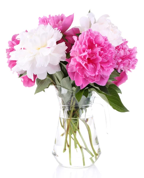 Beautiful pink and white peonies in vase, isolated on white — Stock Photo, Image