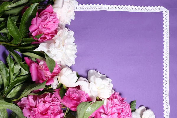 Krásné růžové a Bílé pivoňky na pozadí barevných tkanin — Stock fotografie