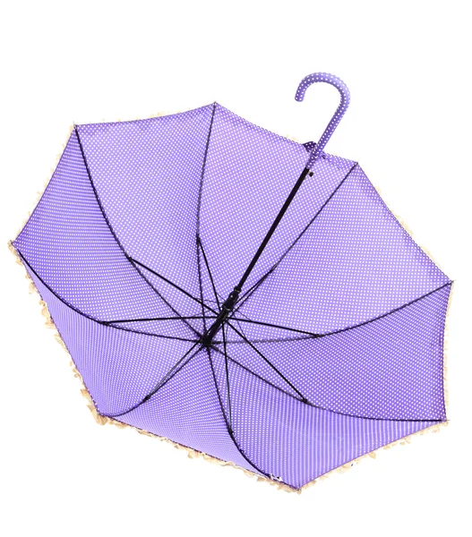 Lila Regenschirm, aus nächster Nähe — Stockfoto