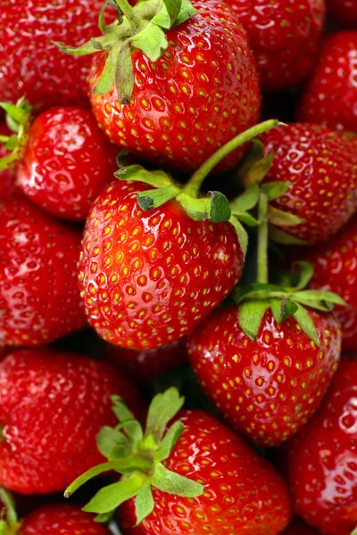 红熟草莓，收尾 — 图库照片