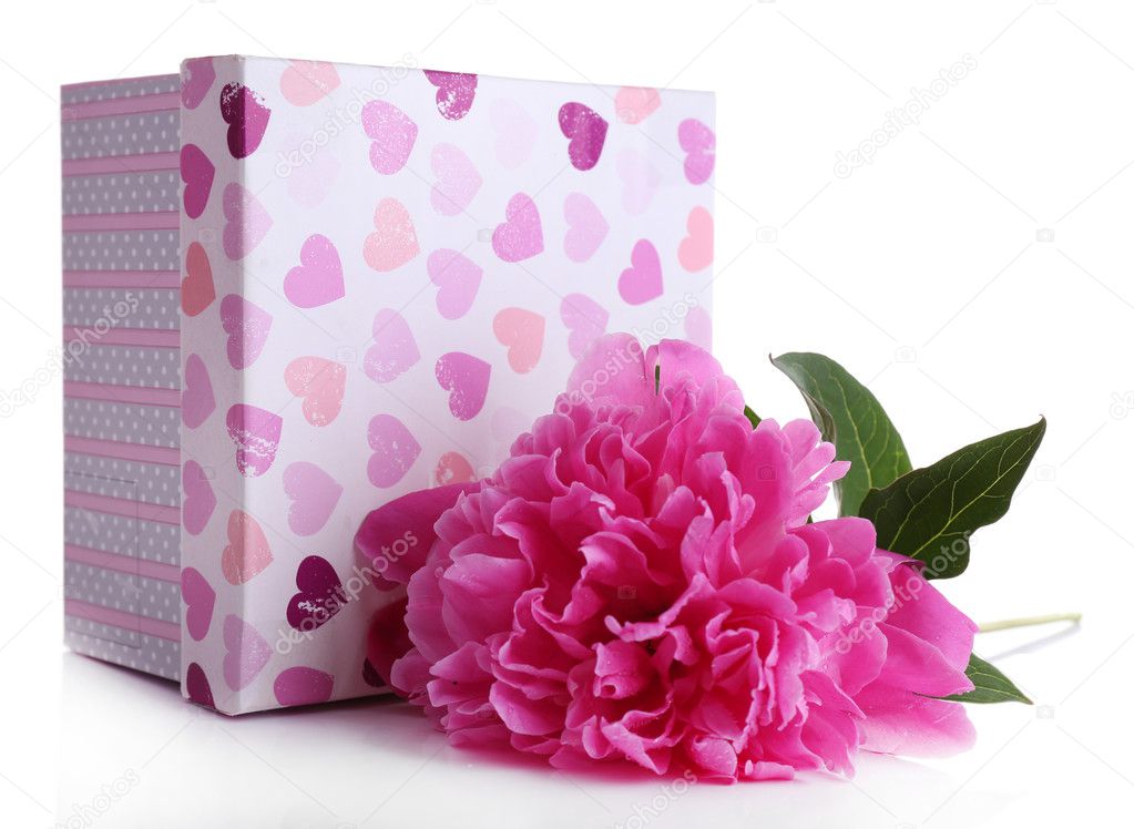 Beautiful peony flower and gift box, isolated on white