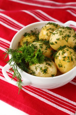 Genç haşlanmış patates kase, yakın çekim