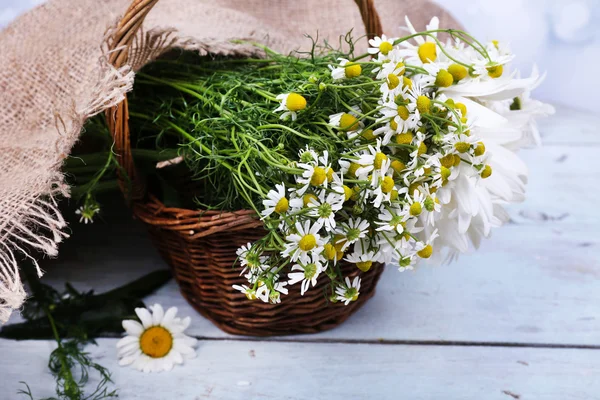 Schöner Strauß Gänseblümchen im Weidenkorb auf hölzernem Hintergrund — Stockfoto