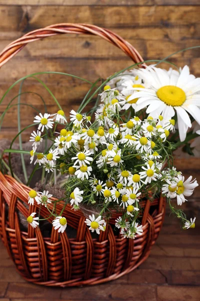 Beautiful bouquet of daisies in wicker basket on wooden background — Stock Photo, Image