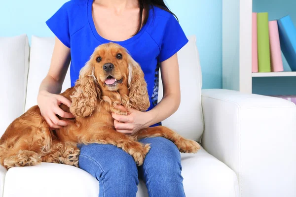 English cocker spaniel on sofa with owner — Stock Photo, Image